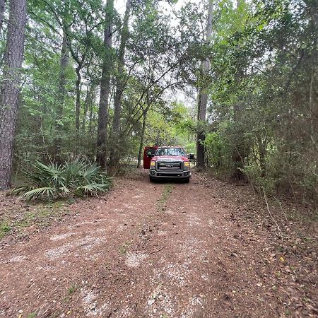 2 Bdrm Treehouse Hideout- Lake Conroe With Boat Ramp مونتغامري المظهر الخارجي الصورة