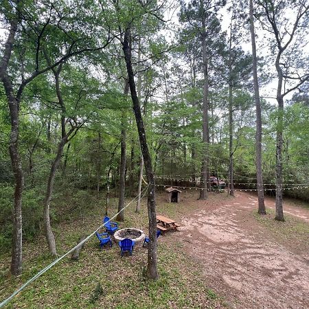 2 Bdrm Treehouse Hideout- Lake Conroe With Boat Ramp مونتغامري المظهر الخارجي الصورة