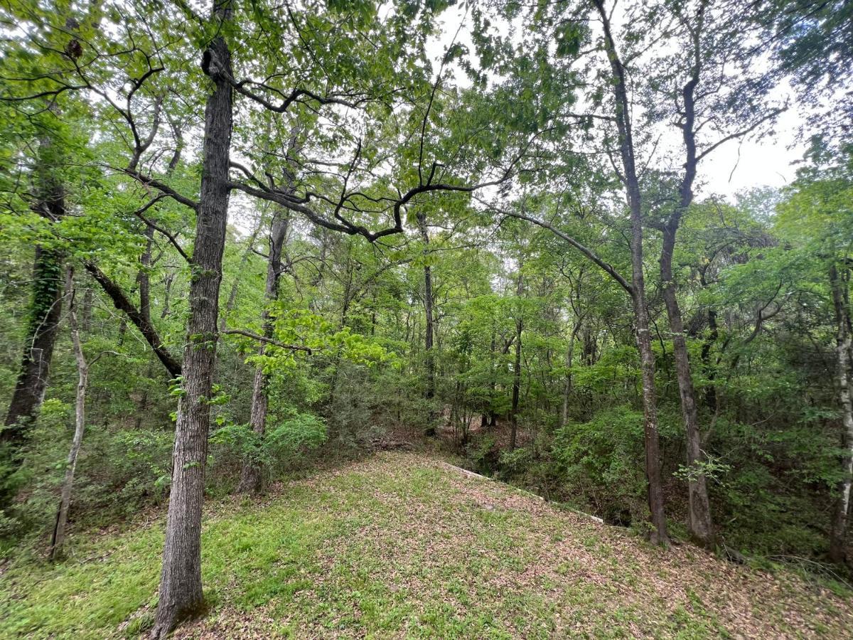 2 Bdrm Treehouse Hideout- Lake Conroe With Boat Ramp مونتغامري المظهر الخارجي الصورة