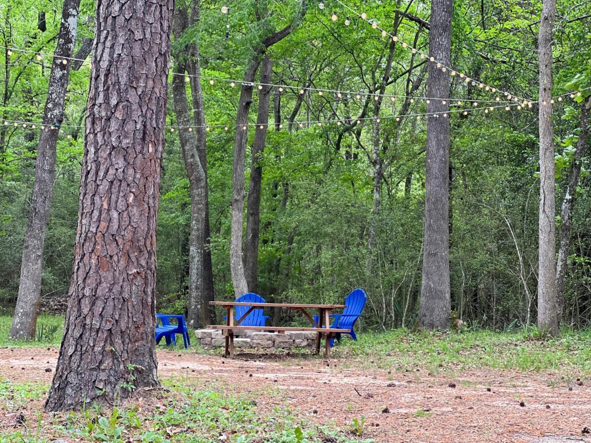 2 Bdrm Treehouse Hideout- Lake Conroe With Boat Ramp مونتغامري المظهر الخارجي الصورة